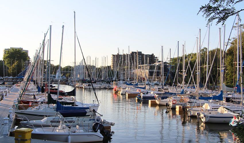 Oakville 2