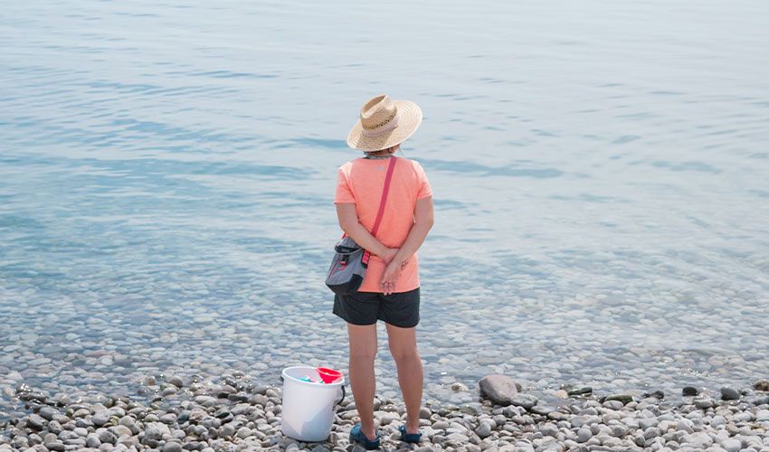 Oakville 4