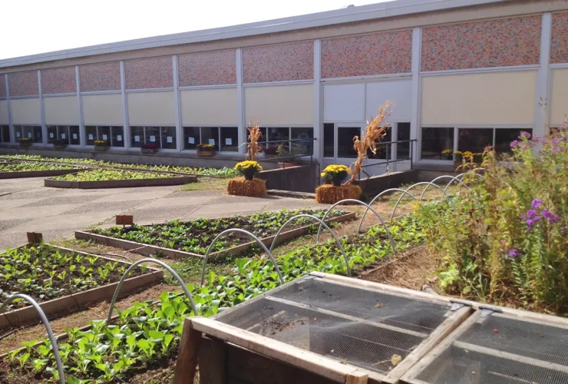 Orangeville District SS Garden
