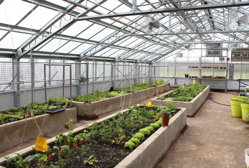 Orangeville District SS Gardening