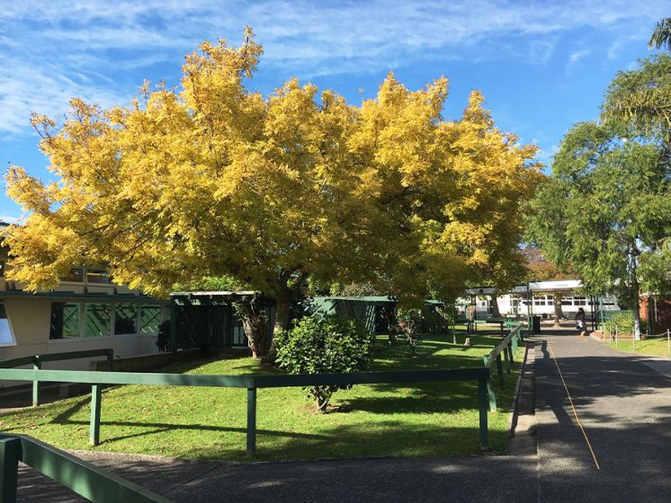 Orewa College 15