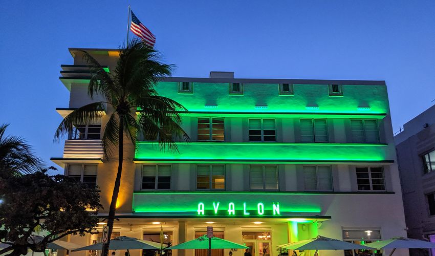 Palm Beach 3