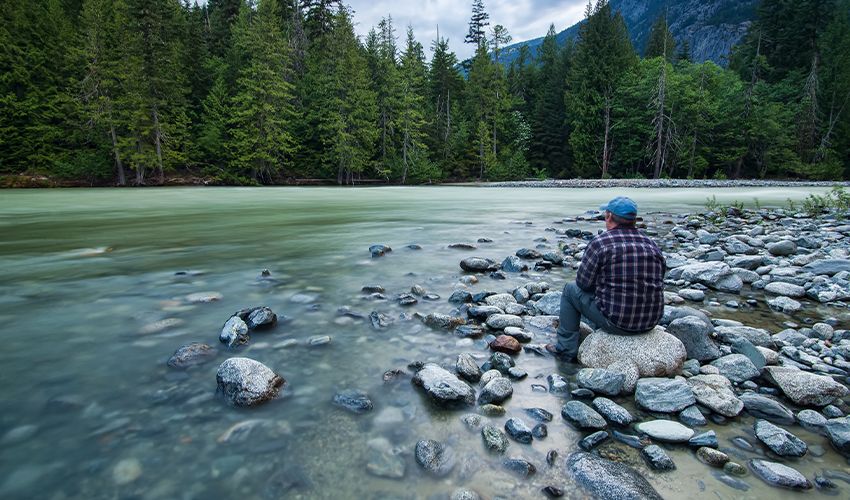 Pemberton 3