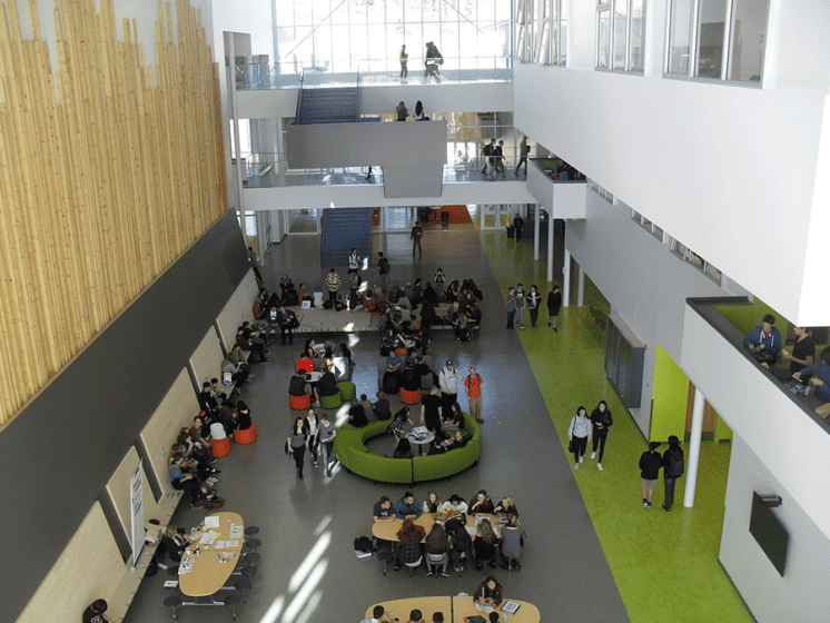 Royal Bay High School 8