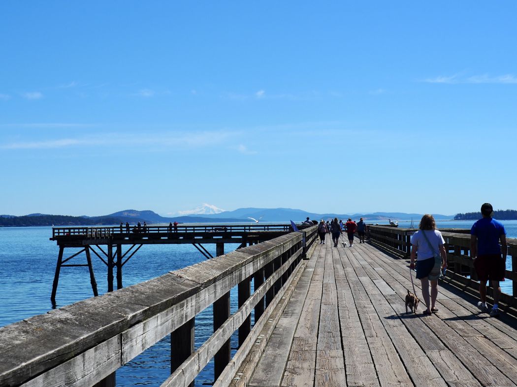 Saanich (6)