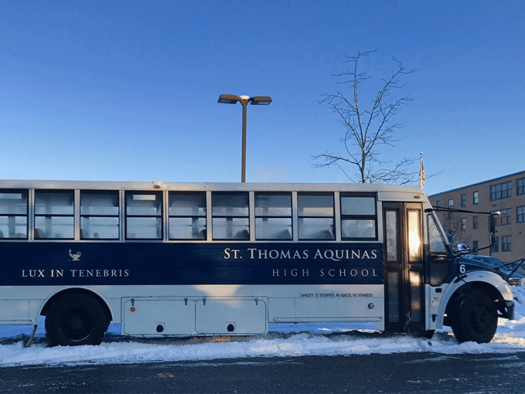 Saint Thomas Aquinas 1