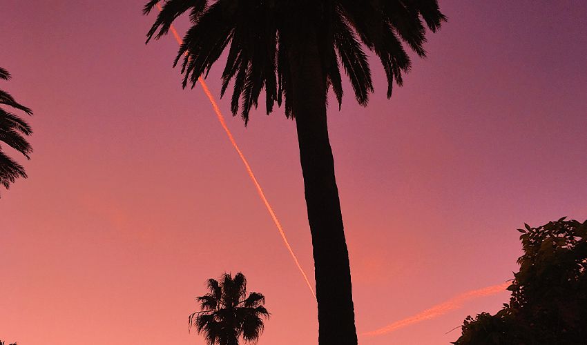 San Diego 6