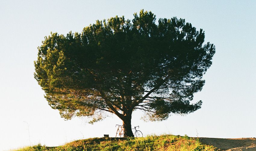 San Luis Obispo 3 v2