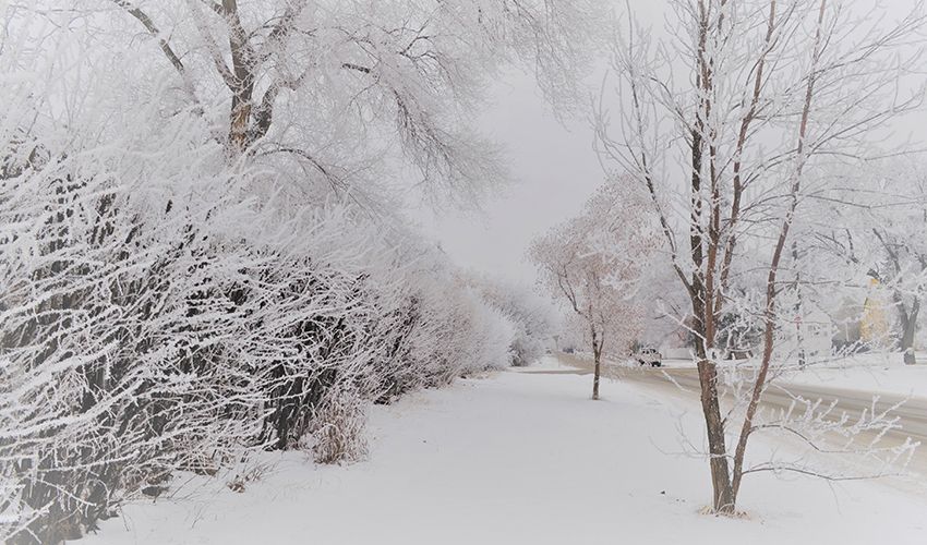 Saskatoon 1