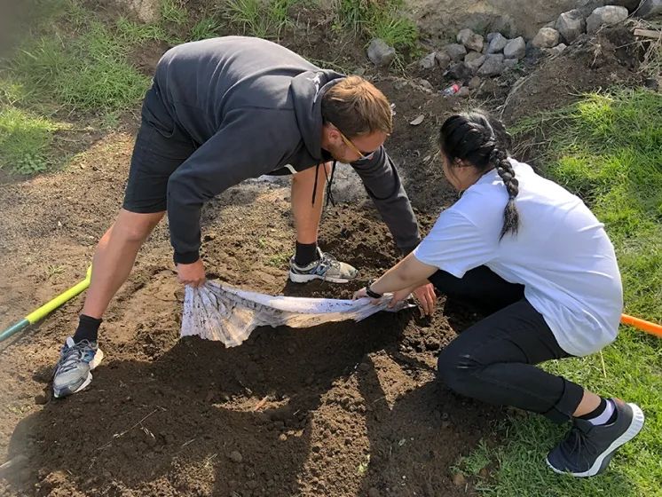 Te Puke Gardening