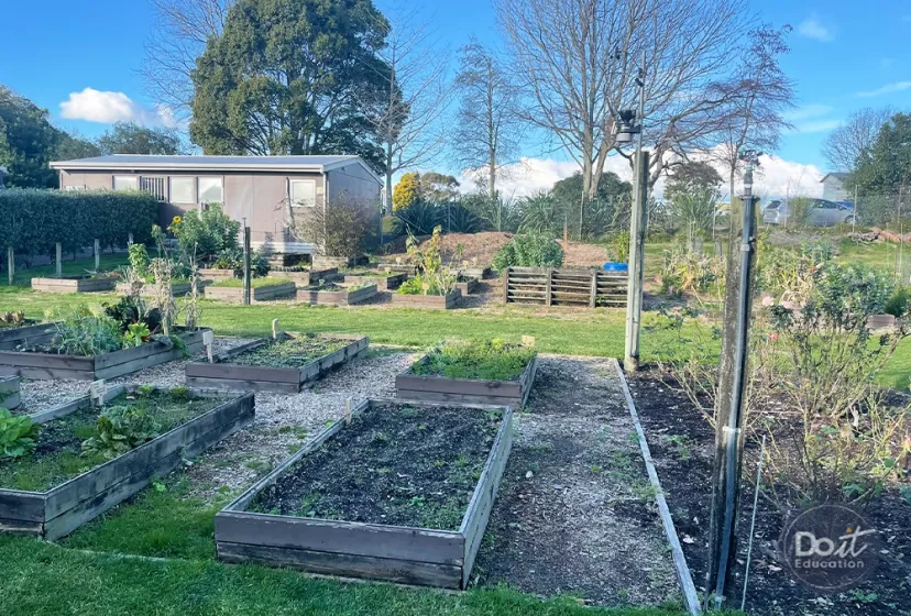 Te Puke Gartenbeet