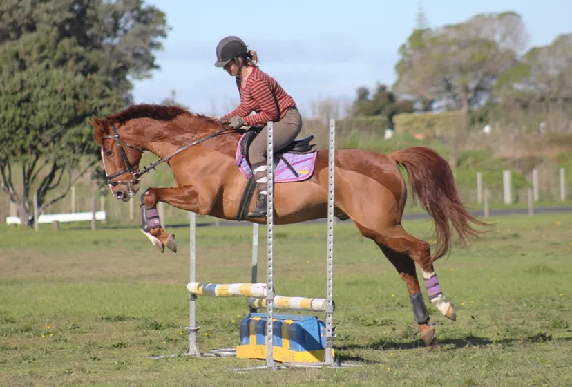 Te Puke Reiten 2