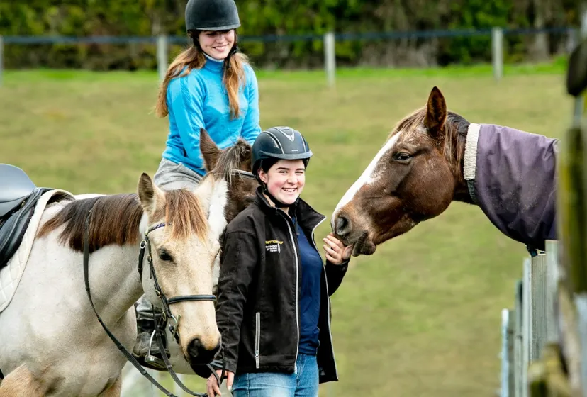 Te Puke Reiten