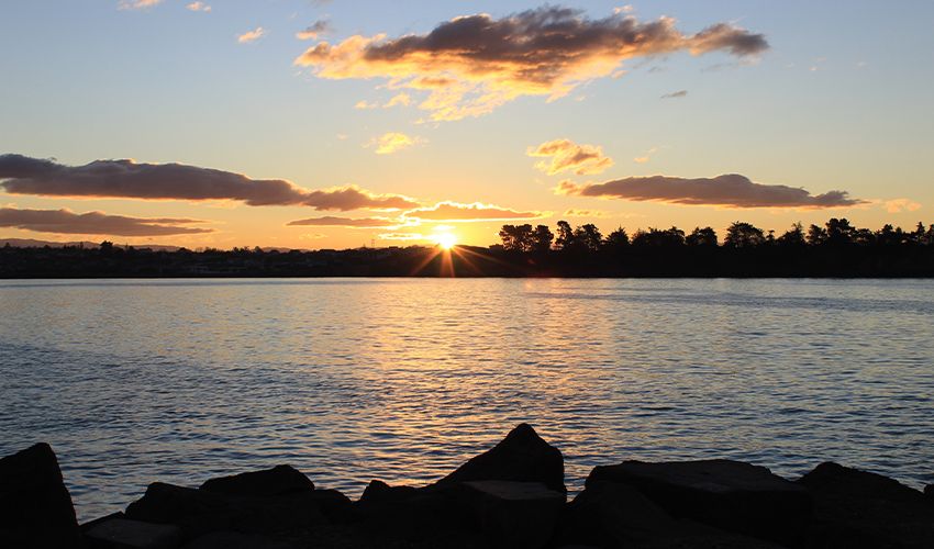 Timaru 1