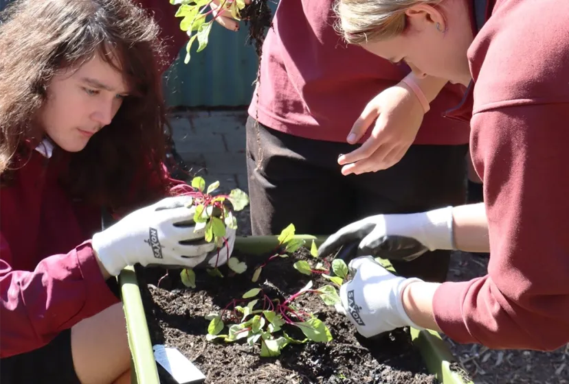Underdale High School Garten 3