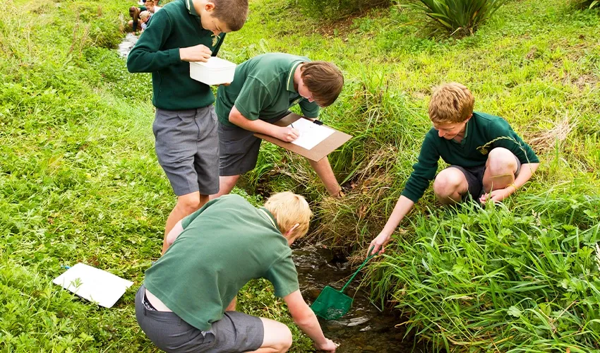 Waimea College Gardening