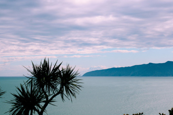 Wellington 2