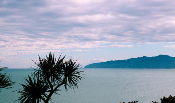 Wellington 2