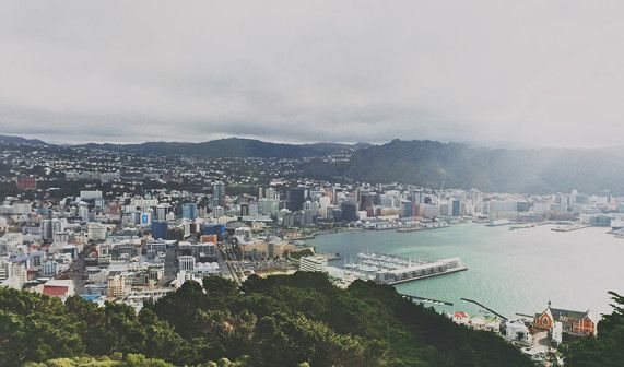 Wellington 3
