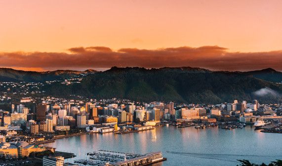 Wellington 4