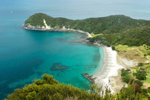 Whangarei 3