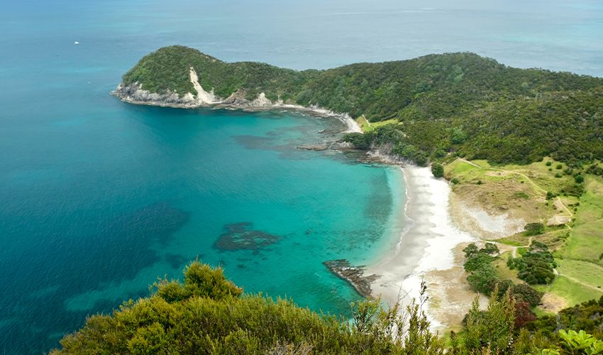 Whangarei 3