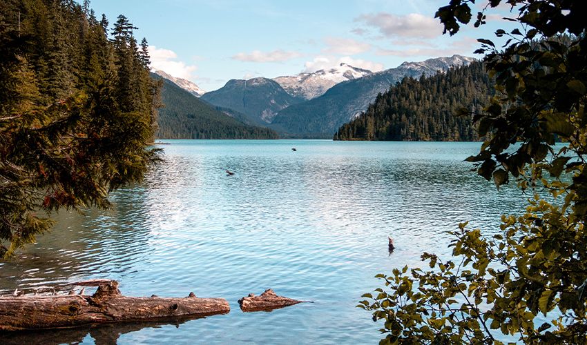 Whistler 5