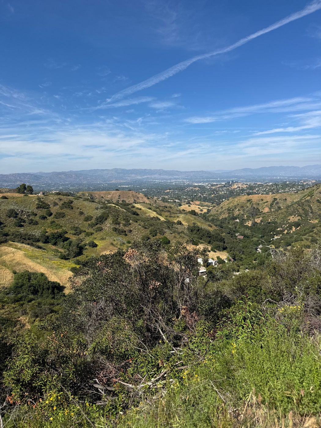 Woodland Hills 4