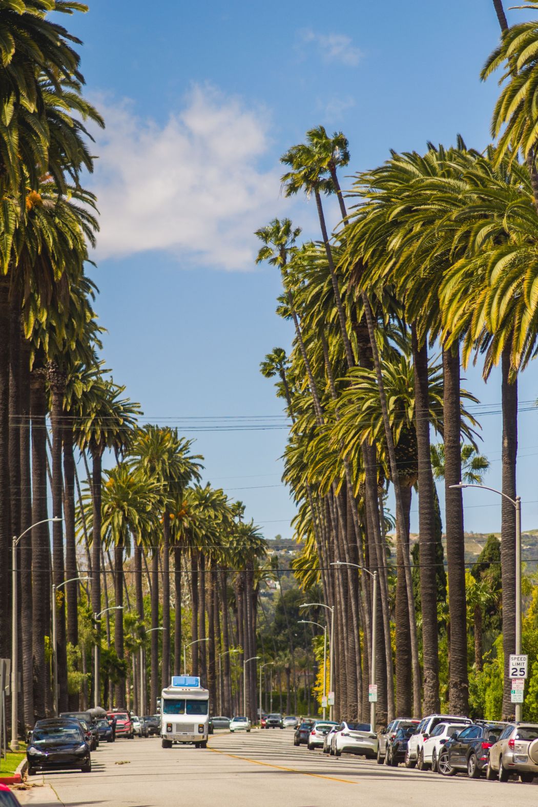 Woodland Hills 8